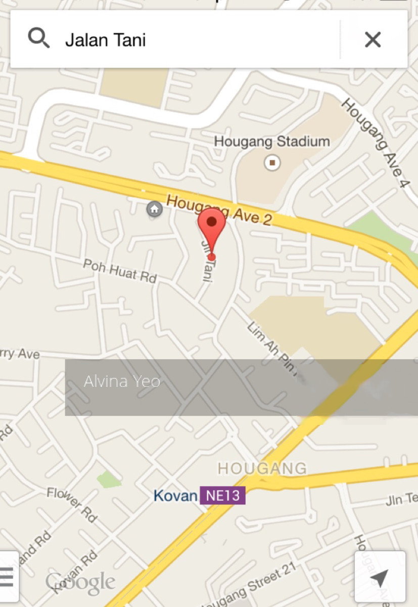 Jalan Tani (D19), Terrace #139950342